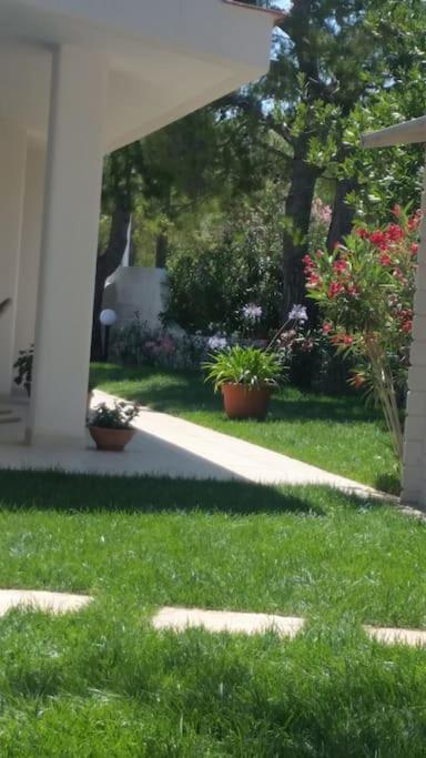 Villa A Marina Di Ostuni Eksteriør billede