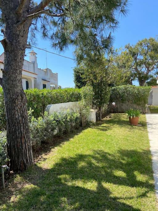 Villa A Marina Di Ostuni Eksteriør billede